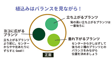 寄せ植えアドバイス