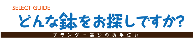どんな鉢をお探しですか?