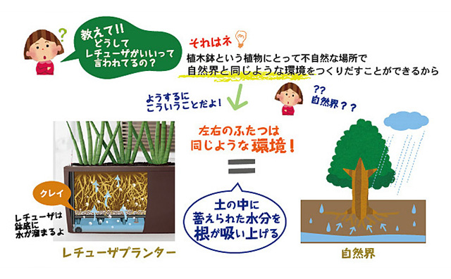 レチューザ底面灌水のしくみ