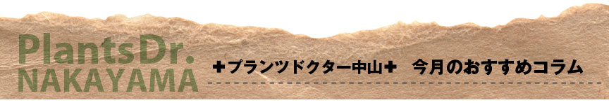プランツドクターのおすすめコラム