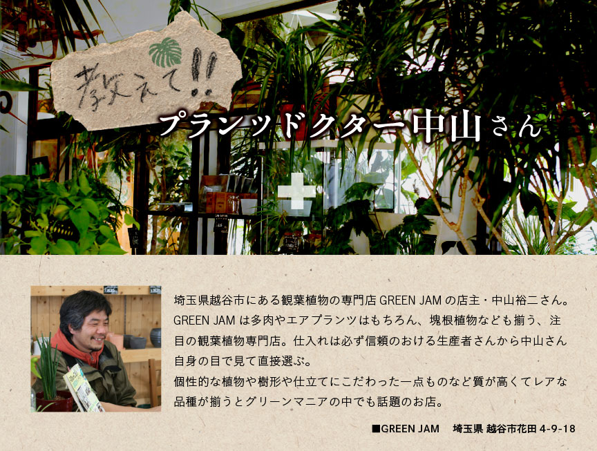 プランツドクター・埼玉県越谷市にある観葉植物の専門店GREEN JAMの店主・中山裕二さん。多肉やエアプランツはもちろん、塊根植物なども揃う、注目の観葉植物専門店。仕入れは必ず信頼のおける生産者さんから中山さん自身の目で見て直接選ぶ。個性的な植物や樹形や仕立てにこだわった一点ものなど質が高くてレアな品種が揃うとグリーンマニアの中でも話題のお店。