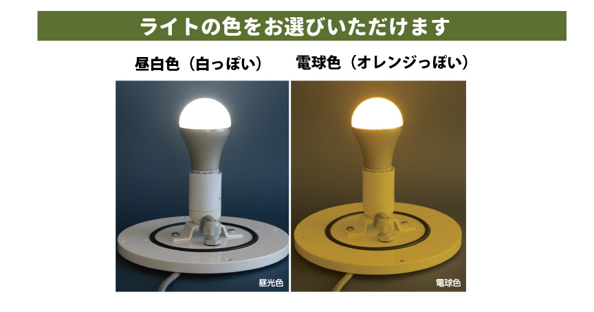 スフェラ訳ありセール