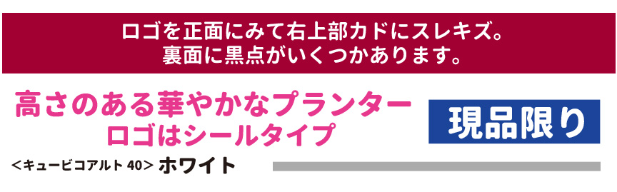 レチューザ訳アリセール